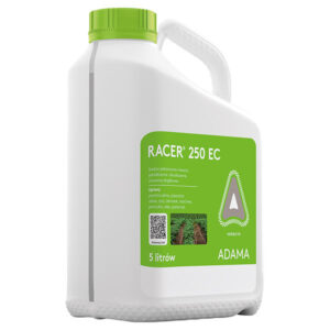Racer 25 EC - imagine 1