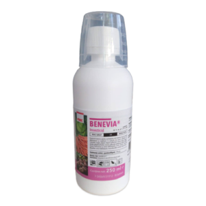 Benevia - imagine 3