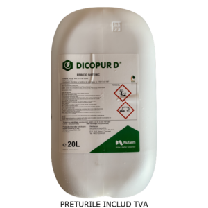 DICOPUR D - imagine 2