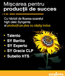 Experto seminte floarea soarelui - imagine 2