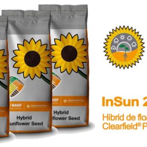 InSun 222 CLP  seminte floarea soarelui - imagine 1