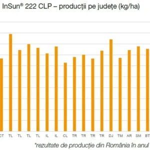 InSun 222 CLP  seminte floarea soarelui - imagine 5