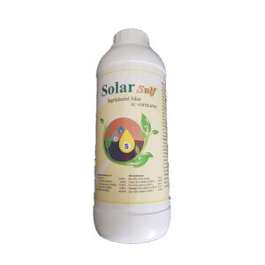 Solar Sulf - imagine 3