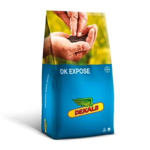 DK EXPOSE - imagine 1