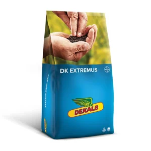 DK EXTREMUS - imagine 1