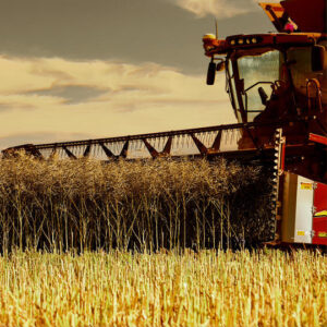 SHERPA Rapiat - imagine 1