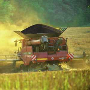 SHREK Rapita - imagine 1