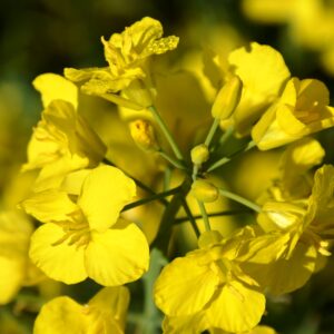 ES MOMENTO - imagine 1